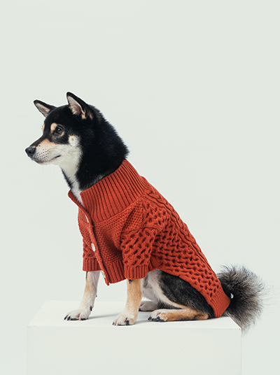 Bert Cardigan Sweater for Pets – Orange | Warm Knit Dog & Cat Coat for Autumn & Winter