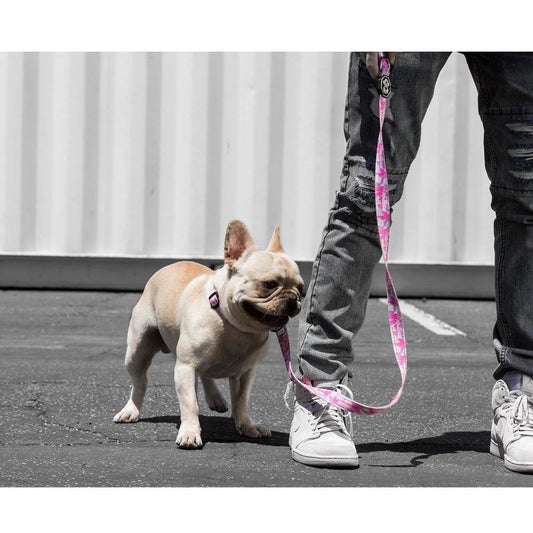 Pastel Camo Dog Leash – Reflective, Neoprene-Padded Handle, Heavy-Duty Hardware