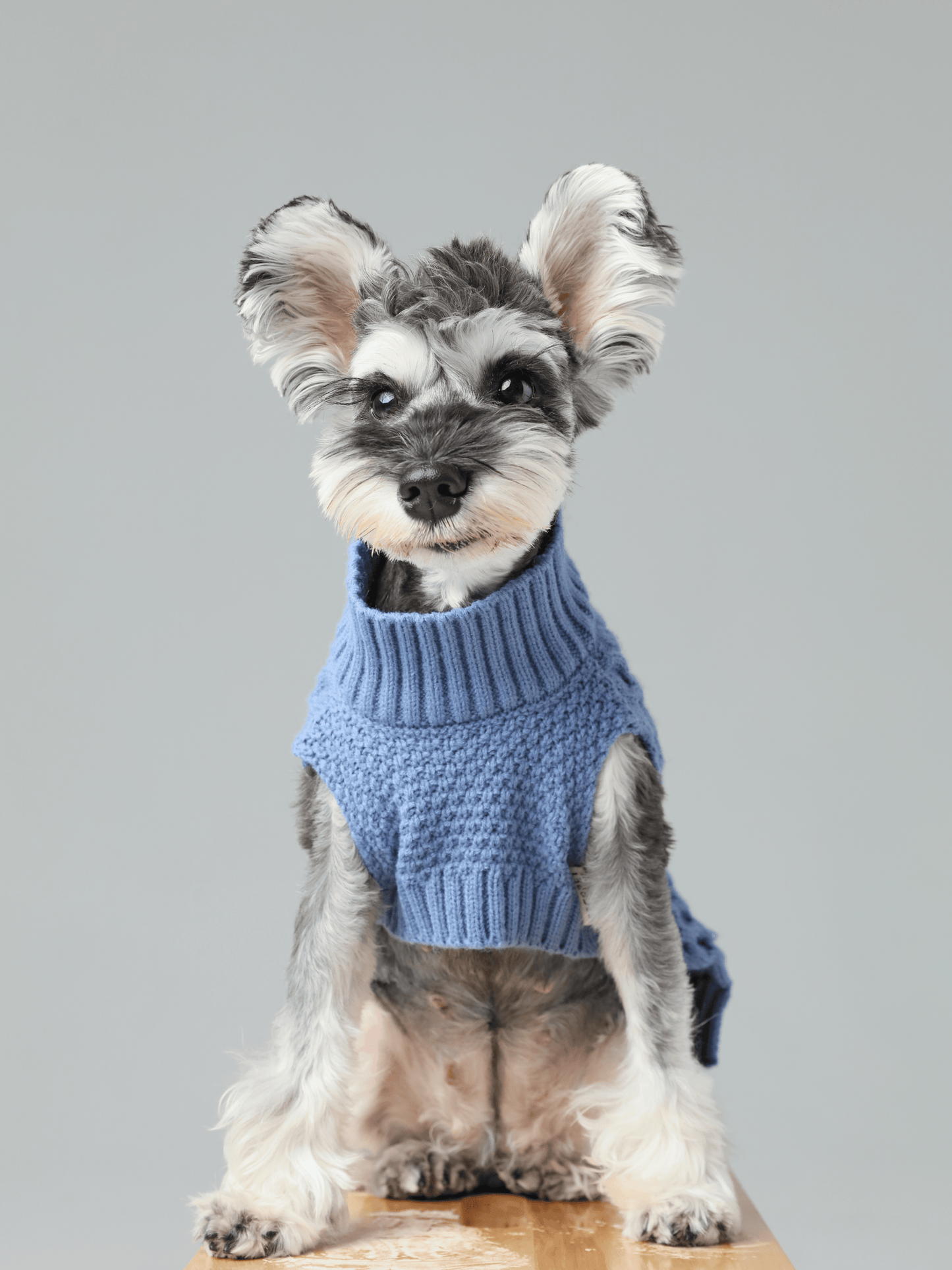 Pet Sweater Vest – Ice Blue | Cozy Knit Warmth with Breathable Comfort