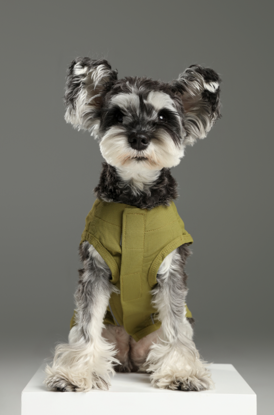 Chill Vest Shirt - Green | Lightweight Reflective Cooling Vest for Dogs & Cats