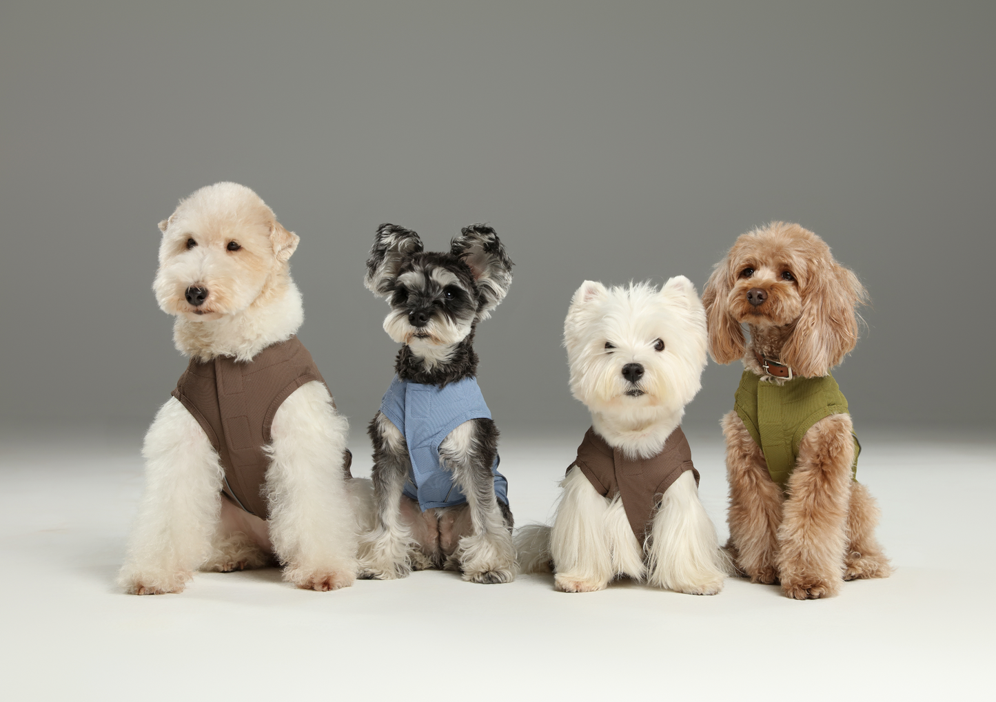 Chill Vest Shirt - Blue | Lightweight Reflective Cooling Vest for Dogs & Cats