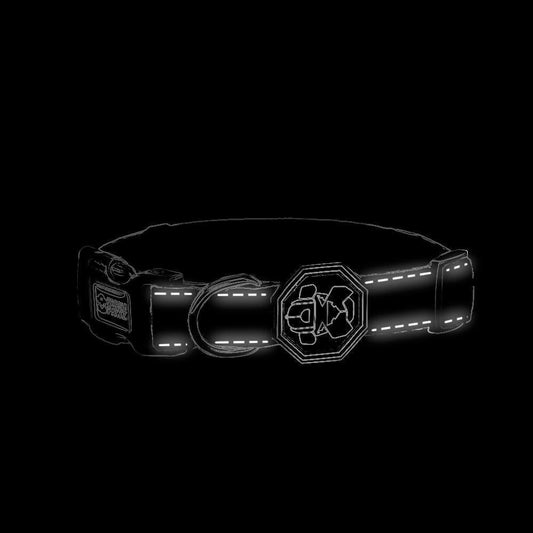 Black dog collar with reflective stripes on a black background