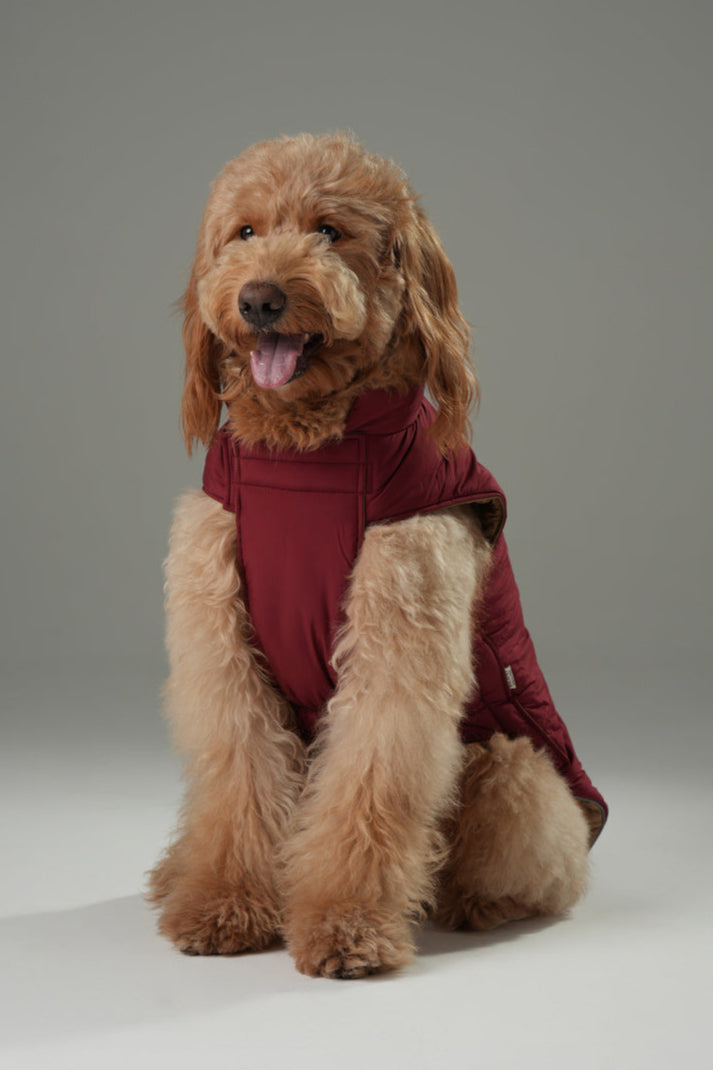 Reversible Dog Vest Jacket – Windproof & Water-Repellent Outdoor Coat (Red Brown)