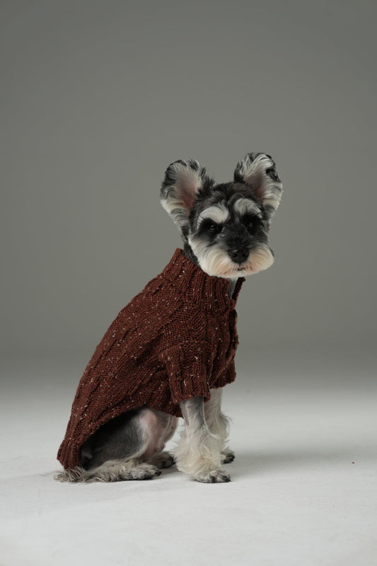 GLACIER Pet Sweater – Burgundy | Warm High-Neck Knit Dog Sweater with Vintage Buttons