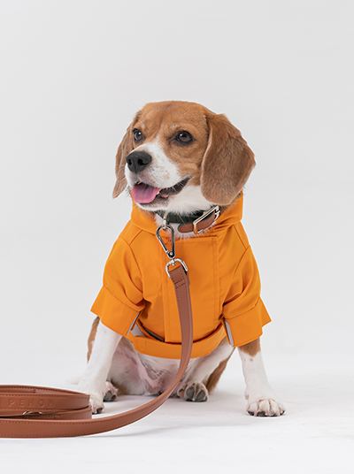Tribeca Adjustable Velcro Dog Raincoat – Egg Yolk Yellow | Waterproof, Easy-On Design