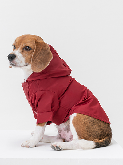 Tribeca Adjustable Velcro Dog Raincoat – Burgundy | Waterproof Hooded Rain Jacket for Dogs