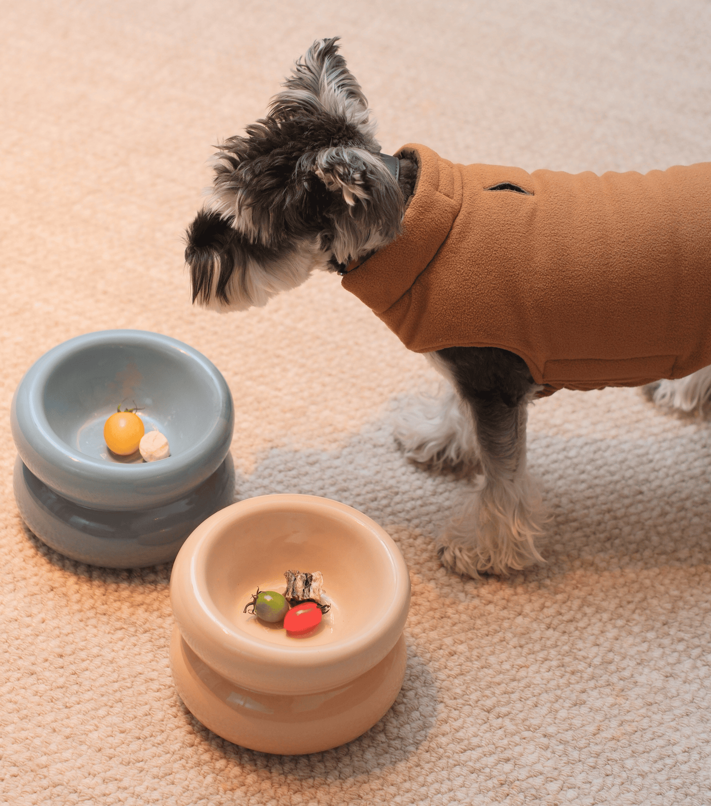 Soufflé Pet Bowl – Cream Beige | Ergonomic Elevated Bowl for Dogs & Cats