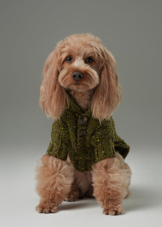 GLACIER Pet Sweater – Olive Green | Warm High-Neck Knit Dog Sweater with Vintage Buttons