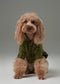 GLACIER Pet Sweater – Olive Green | Warm High-Neck Knit Dog Sweater with Vintage Buttons