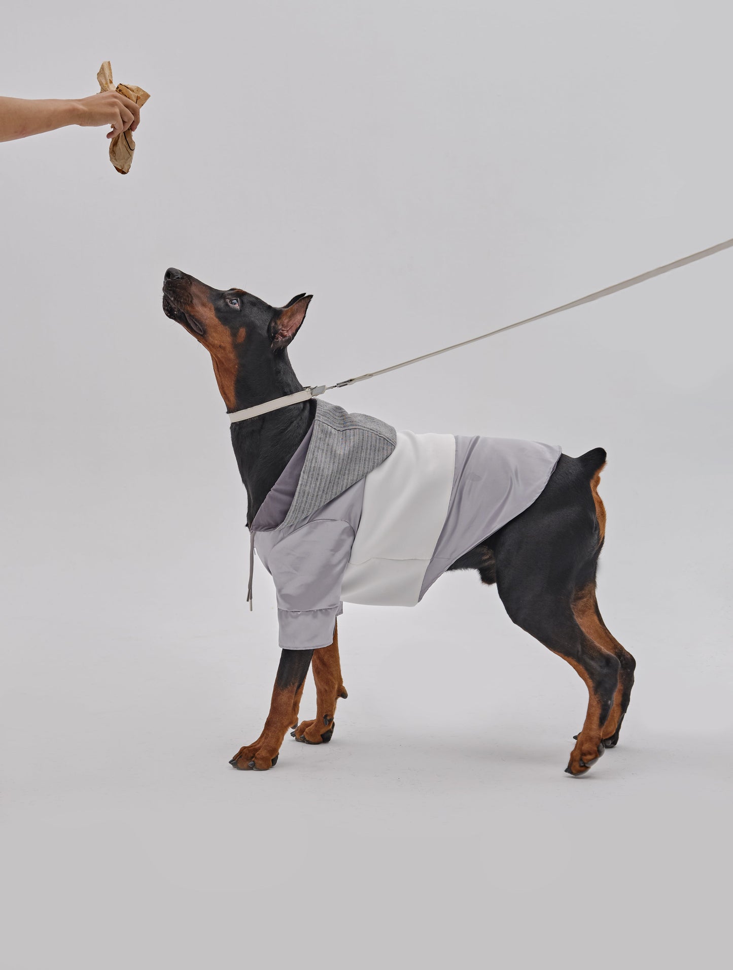 Andersen Calfskin Shoulder Bag with Convertible Leash & Collar Set