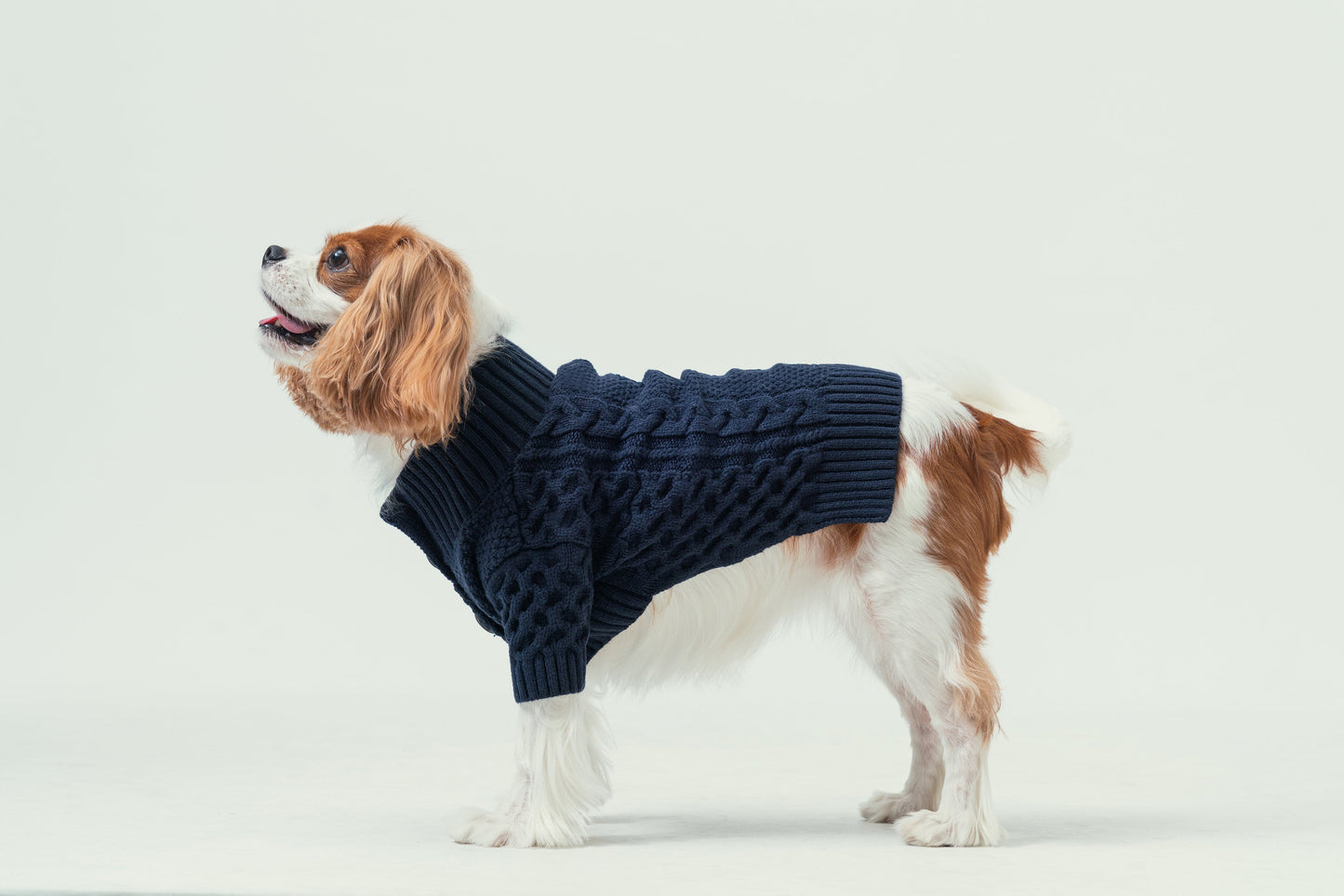 Bert Cardigan Sweater for Pets – Dark Blue Warm Knit Coat with Leash Access