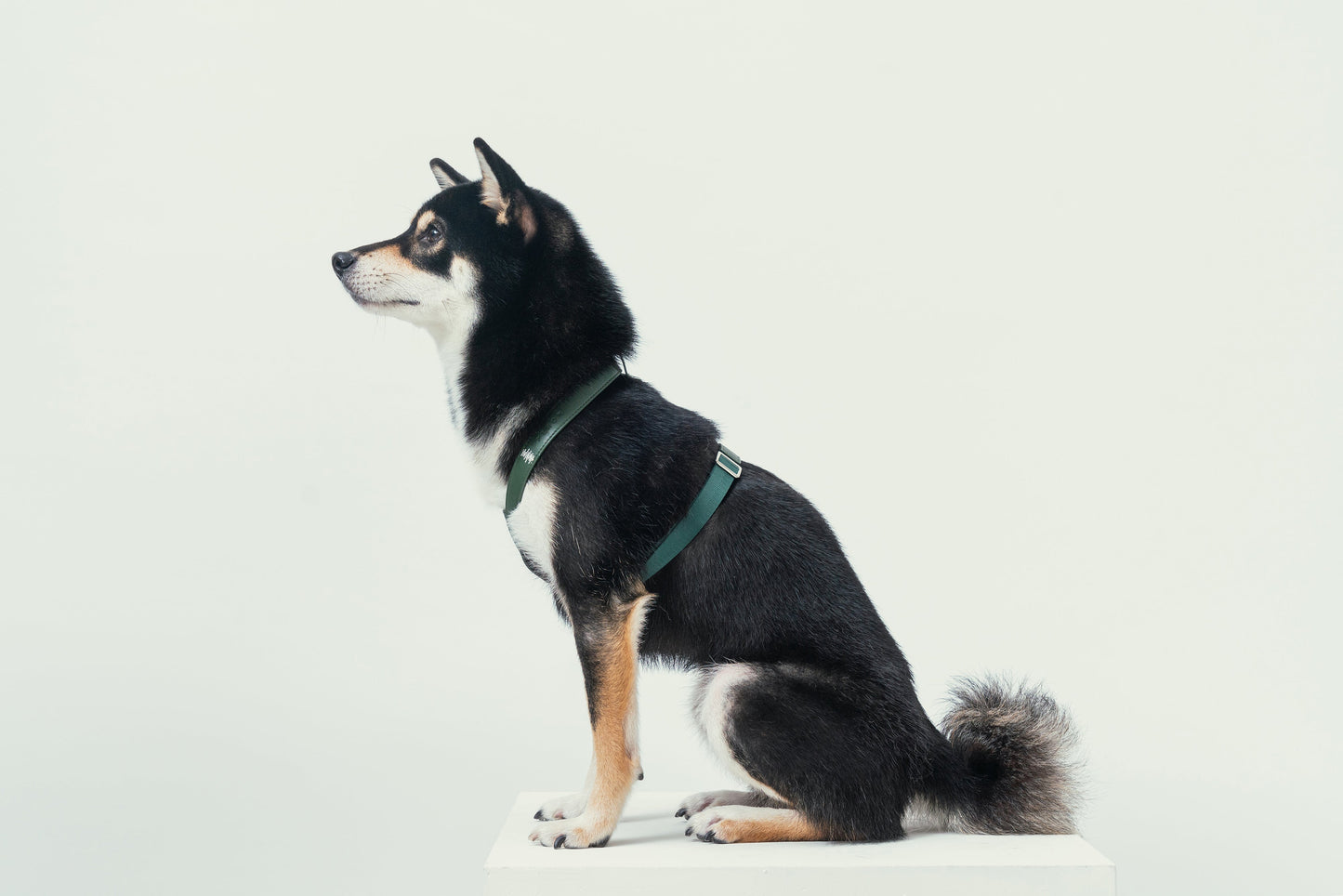 HART Pressure Release Dog Harness – Green | Adjustable Leather Comfort Harness