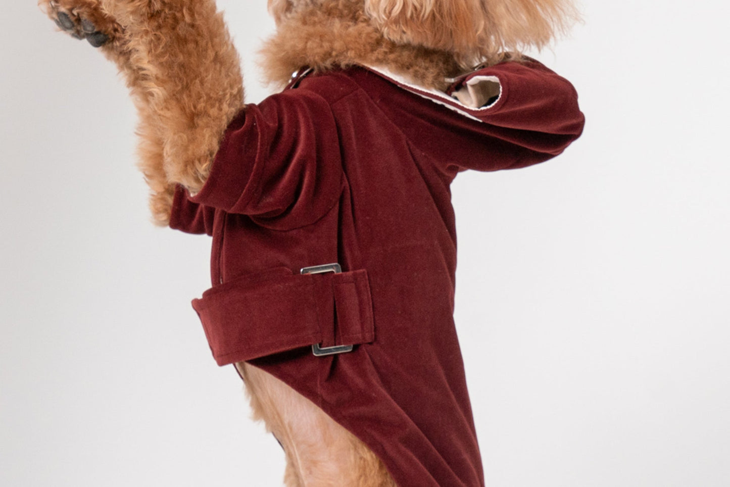 HUSTON Hoodie – Dark Burgundy Adjustable Pet Hoodie with Two-Way Zipper