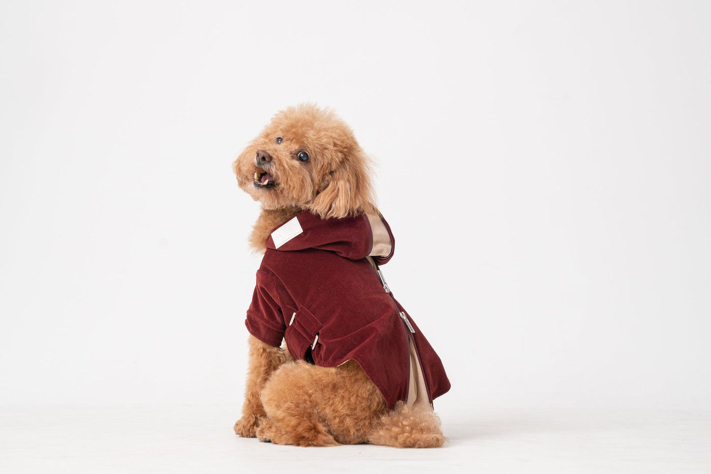HUSTON Hoodie – Dark Burgundy Adjustable Pet Hoodie with Two-Way Zipper