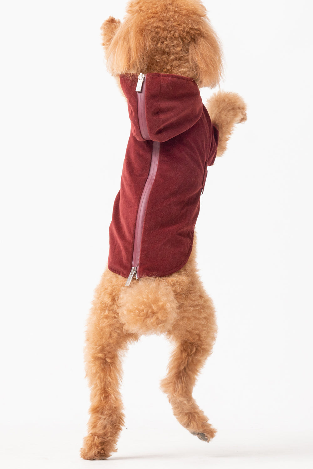 HUSTON Hoodie – Dark Burgundy Adjustable Pet Hoodie with Two-Way Zipper
