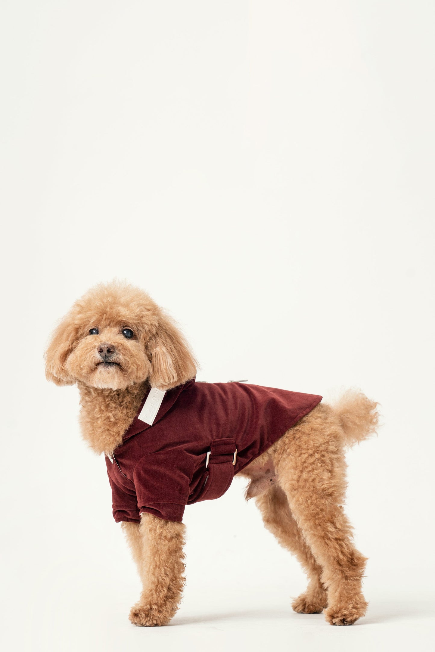 HUSTON Hoodie – Dark Burgundy Adjustable Pet Hoodie with Two-Way Zipper