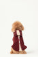 HUSTON Hoodie – Dark Burgundy Adjustable Pet Hoodie with Two-Way Zipper