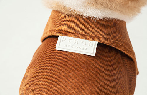 Stainway Shirt for Dogs – Luxury Orange Velvet Pet Shirt with Exaggerated Collar