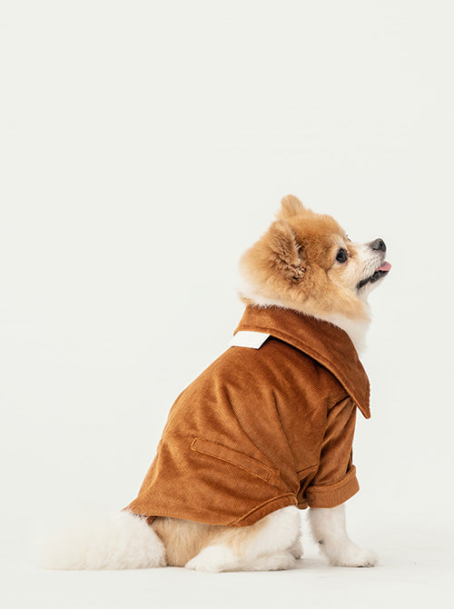 Stainway Shirt for Dogs – Luxury Orange Velvet Pet Shirt with Exaggerated Collar