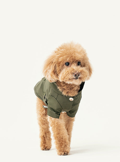 Bowery Raincoat - Green | Waterproof Dog Jacket with Adjustable Fit