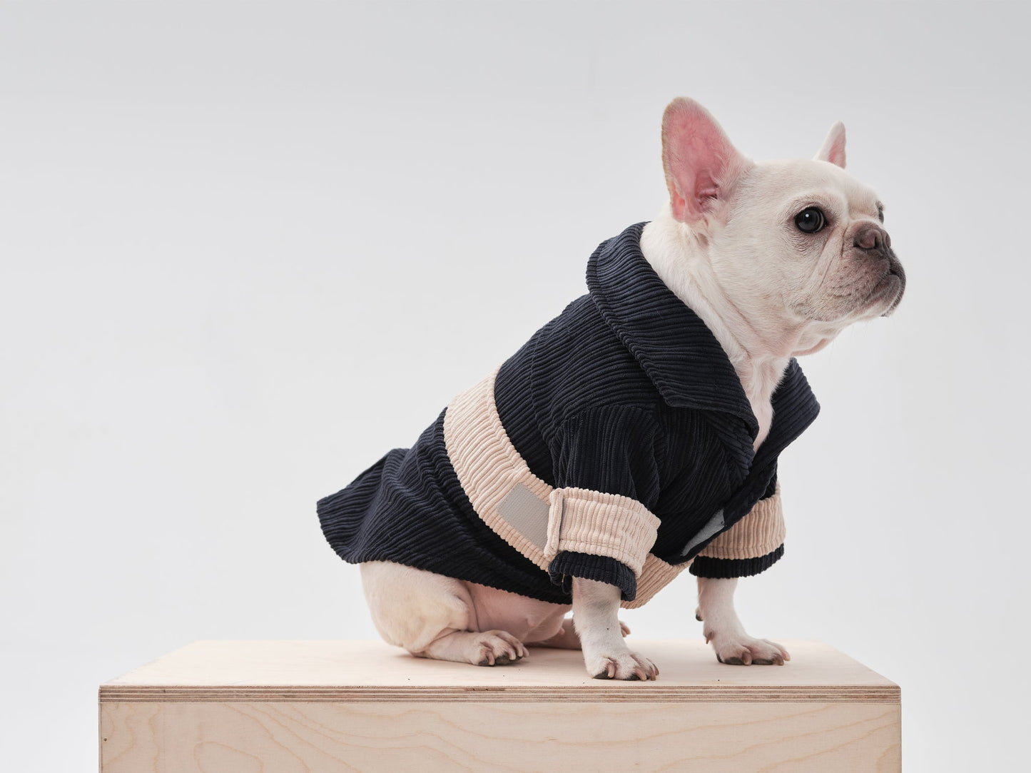 Rope Shirt – Blue Beige Velvet Winter Blazer for Pets