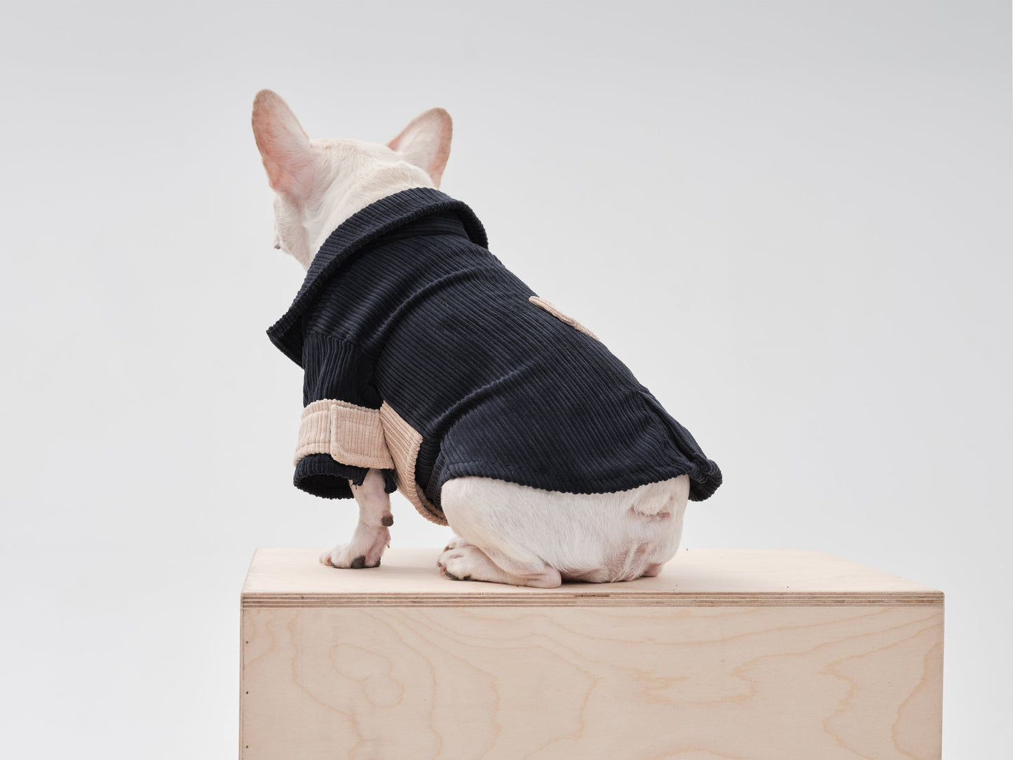Rope Shirt – Blue Beige Velvet Winter Blazer for Pets