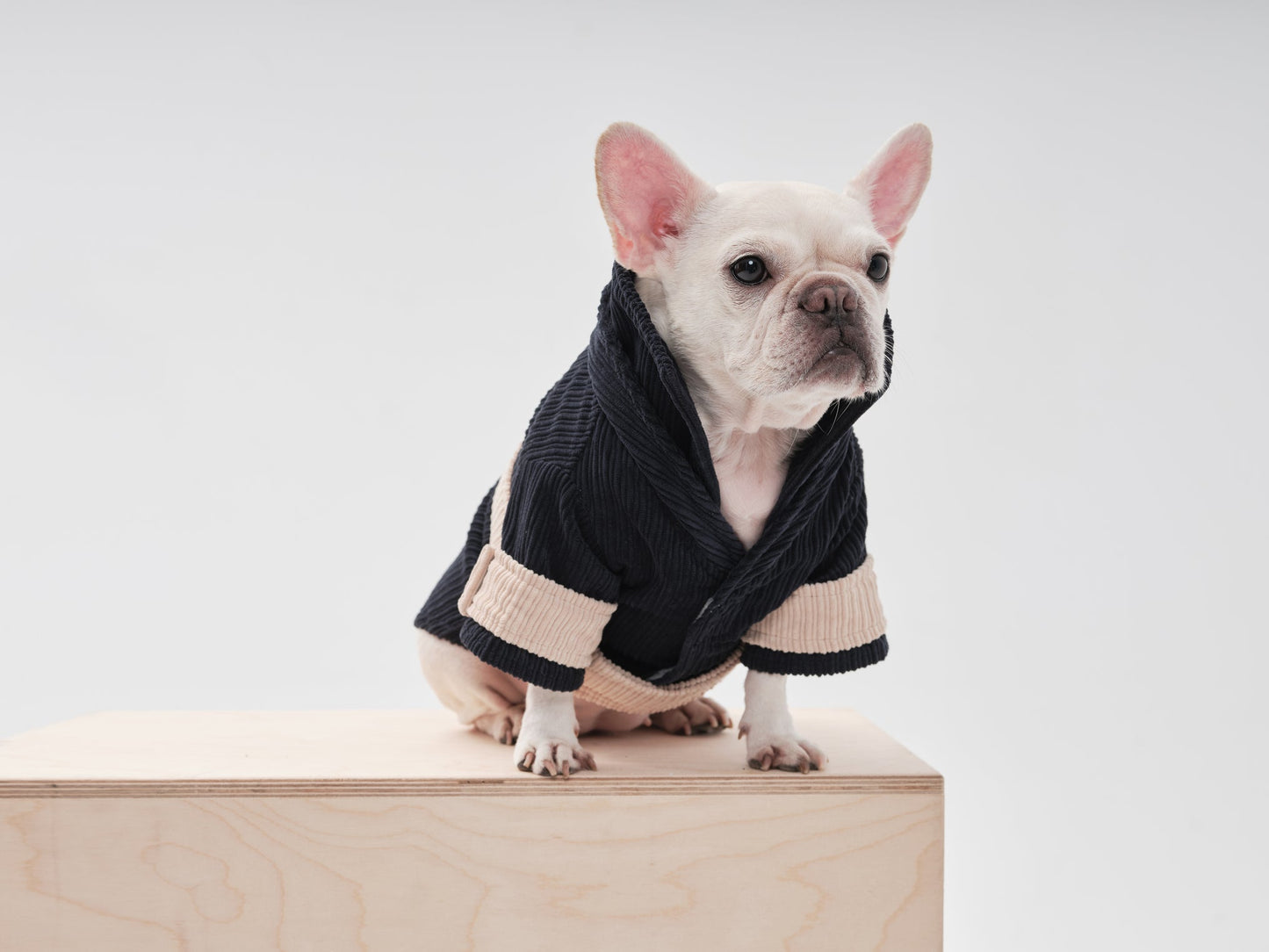 Rope Shirt – Blue Beige Velvet Winter Blazer for Pets