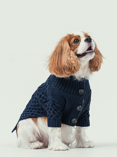 Bert Cardigan Sweater for Pets – Dark Blue Warm Knit Coat with Leash Access
