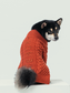 Bert Cardigan Sweater for Pets – Orange | Warm Knit Dog & Cat Coat for Autumn & Winter