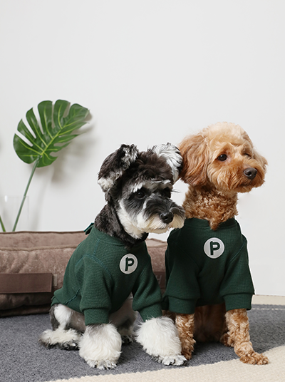 Embroidery Waffle T-Shirt for Dogs - Green | Reflective Safety Print, Soft Plaid Texture, Everyday Comfort