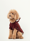 HUSTON Hoodie – Dark Burgundy Adjustable Pet Hoodie with Two-Way Zipper