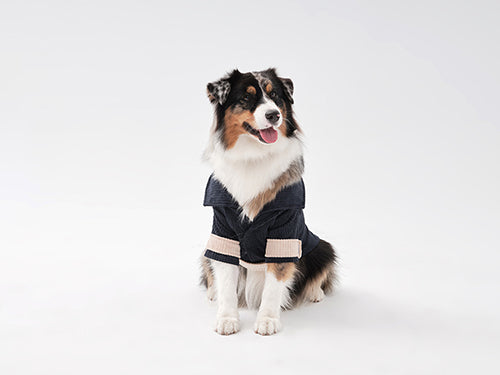 Rope Shirt – Blue Beige Velvet Winter Blazer for Pets