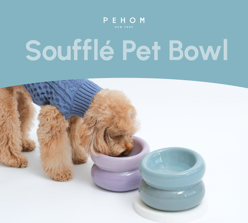 Soufflé Pet Bowl – Frozen Blue | Ergonomic Elevated Bowl for Cats & Small Dogs