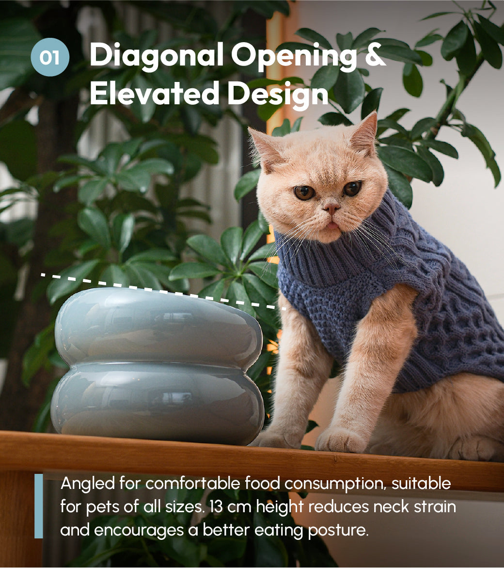 Soufflé Pet Bowl – Frozen Blue | Ergonomic Elevated Bowl for Cats & Small Dogs