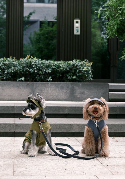 Tennis Hat for Pets – Mocha | Adjustable, Soft & Reflective Pet Cap