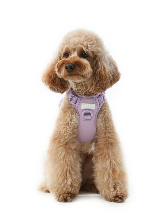 No Pull Active Pet Harness - Mint Purple | Breathable, Adjustable & Secure Control