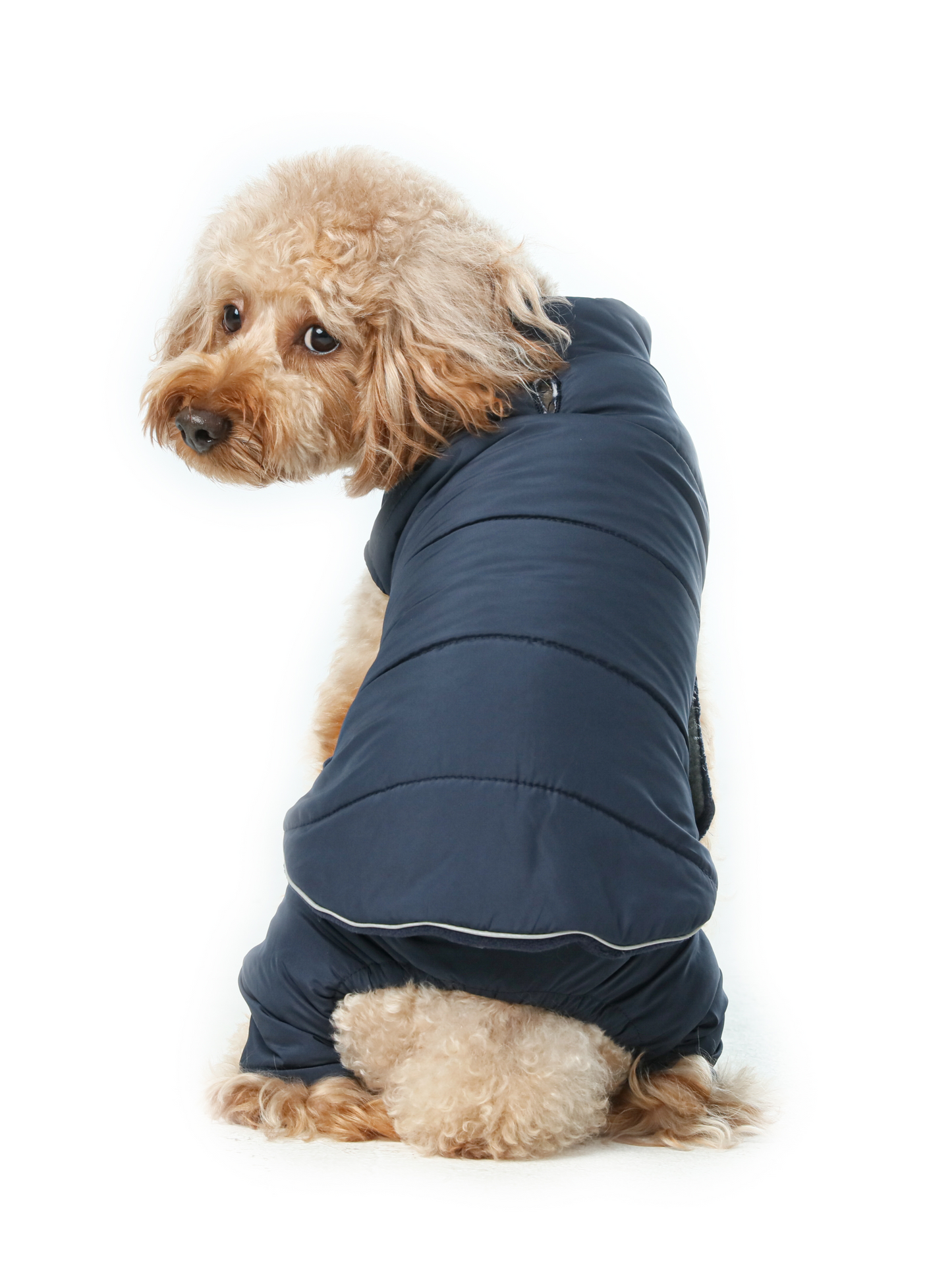 Reversible Dog Vest Jacket – Blue | Windproof, Water-Repellent Winter Coat with Reflective Safety