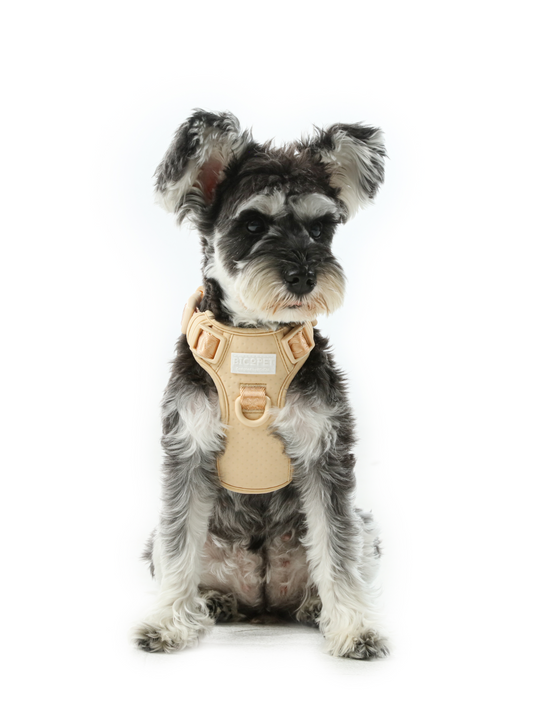 No Pull Active Pet Harness – Apricot | Adjustable, Breathable & Secure Control Harness