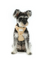 No Pull Active Pet Harness – Apricot | Adjustable, Breathable & Secure Control Harness