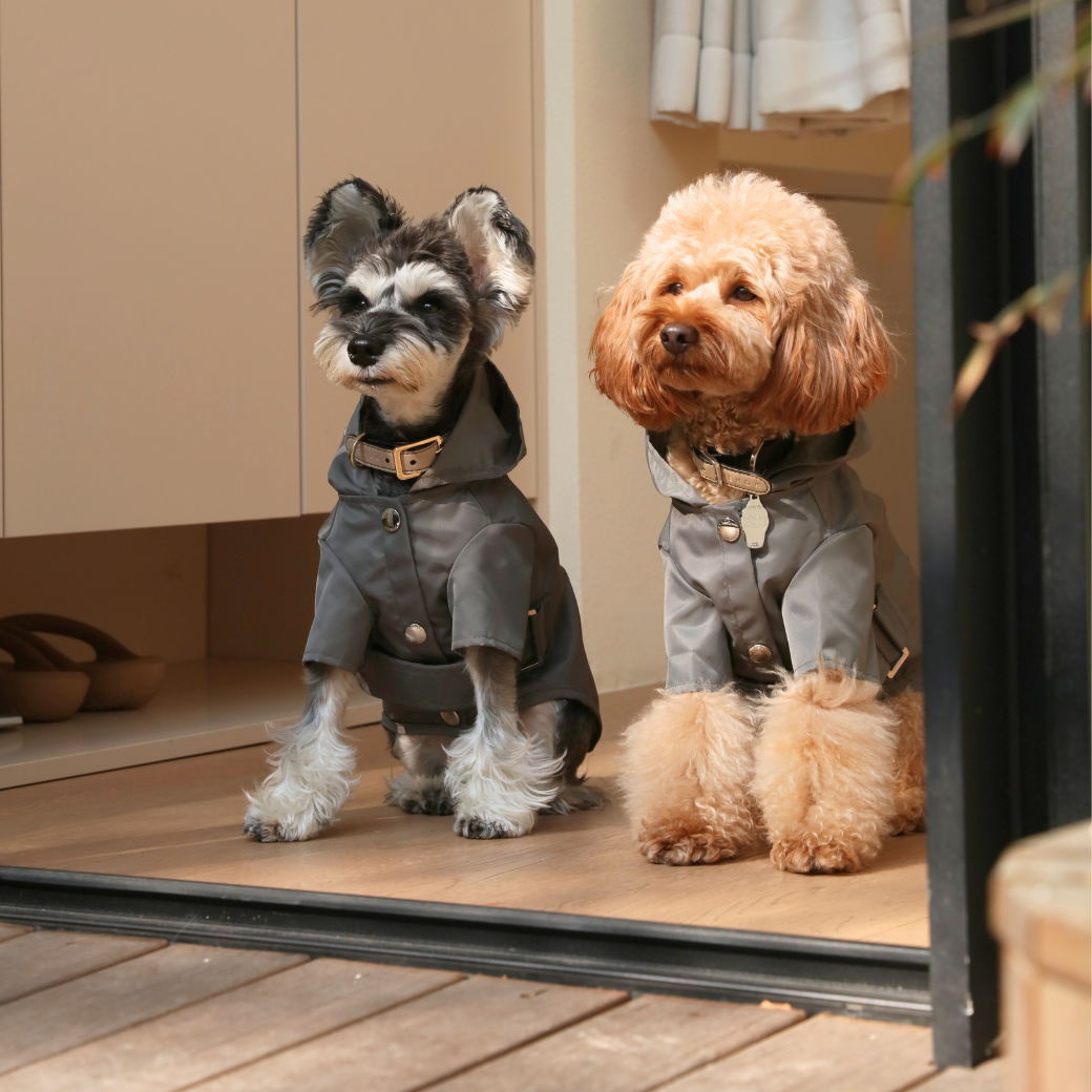 Bowery Raincoat - Gray | Water-Repellent Dog Rain Jacket with Adjustable Fit