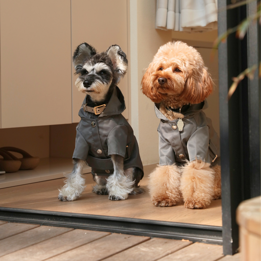 Bowery Raincoat - Gray | Water-Repellent Dog Rain Jacket with Adjustable Fit