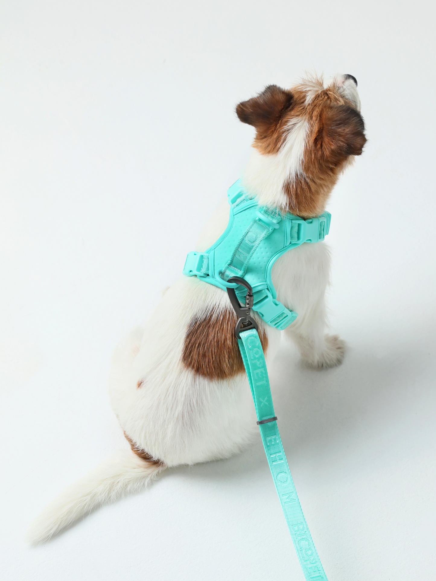 No Pull Active  Pet Harness - Mint Green | Adjustable, Breathable & Secure Comfort Harness