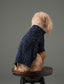 GLACIER Pet Sweater – Navy | Warm High-Neck Knit Dog Sweater with Vintage Buttons