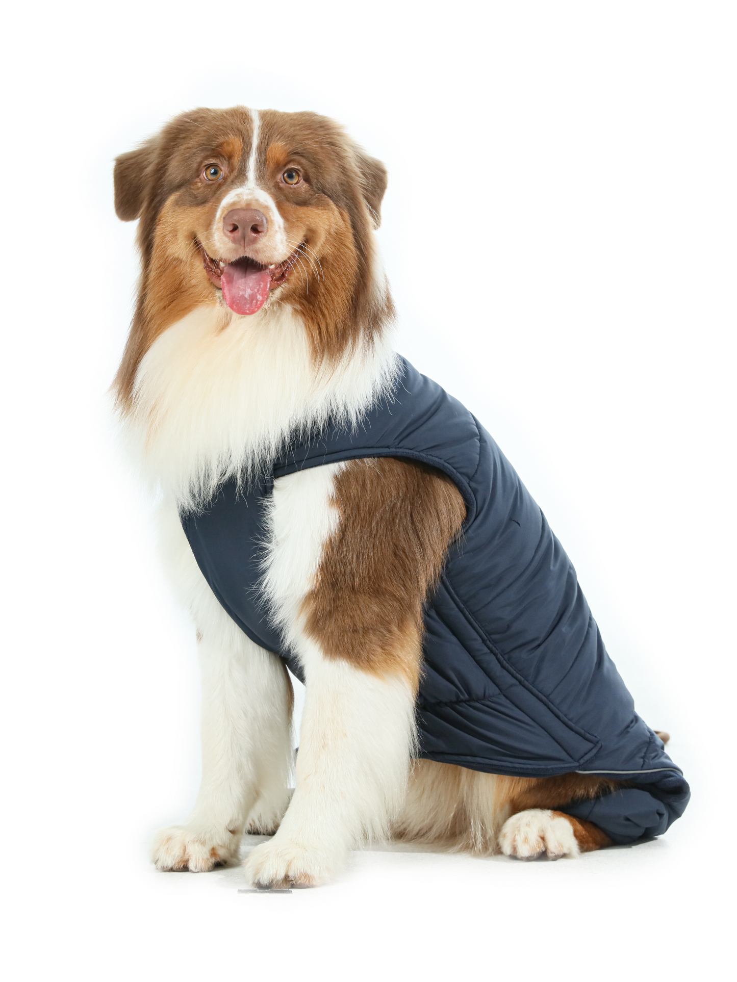 Reversible Dog Vest Jacket – Blue | Windproof, Water-Repellent Winter Coat with Reflective Safety