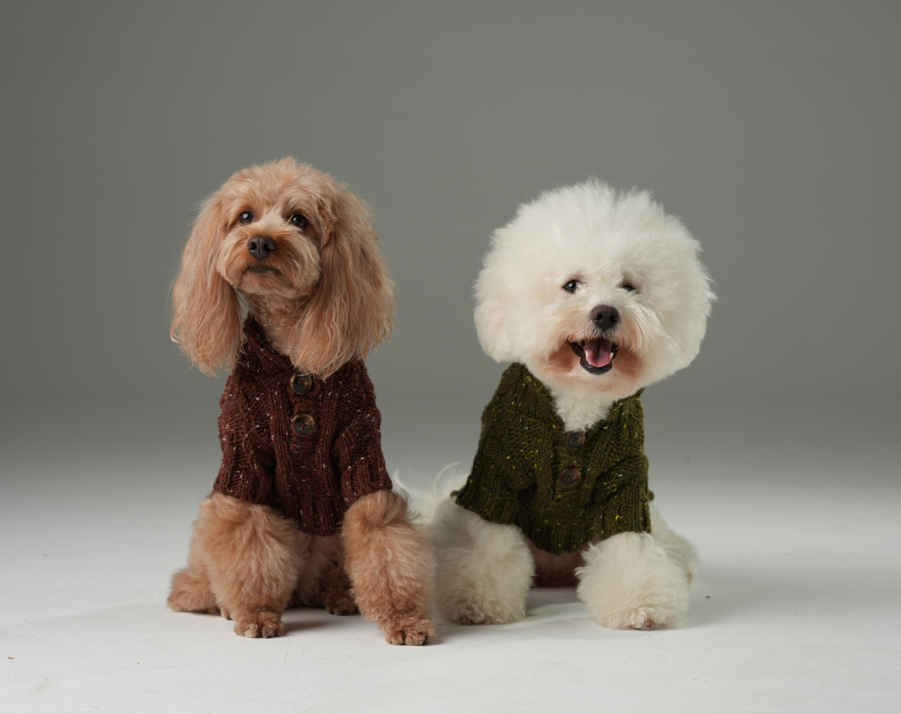 GLACIER Pet Sweater – Burgundy | Warm High-Neck Knit Dog Sweater with Vintage Buttons