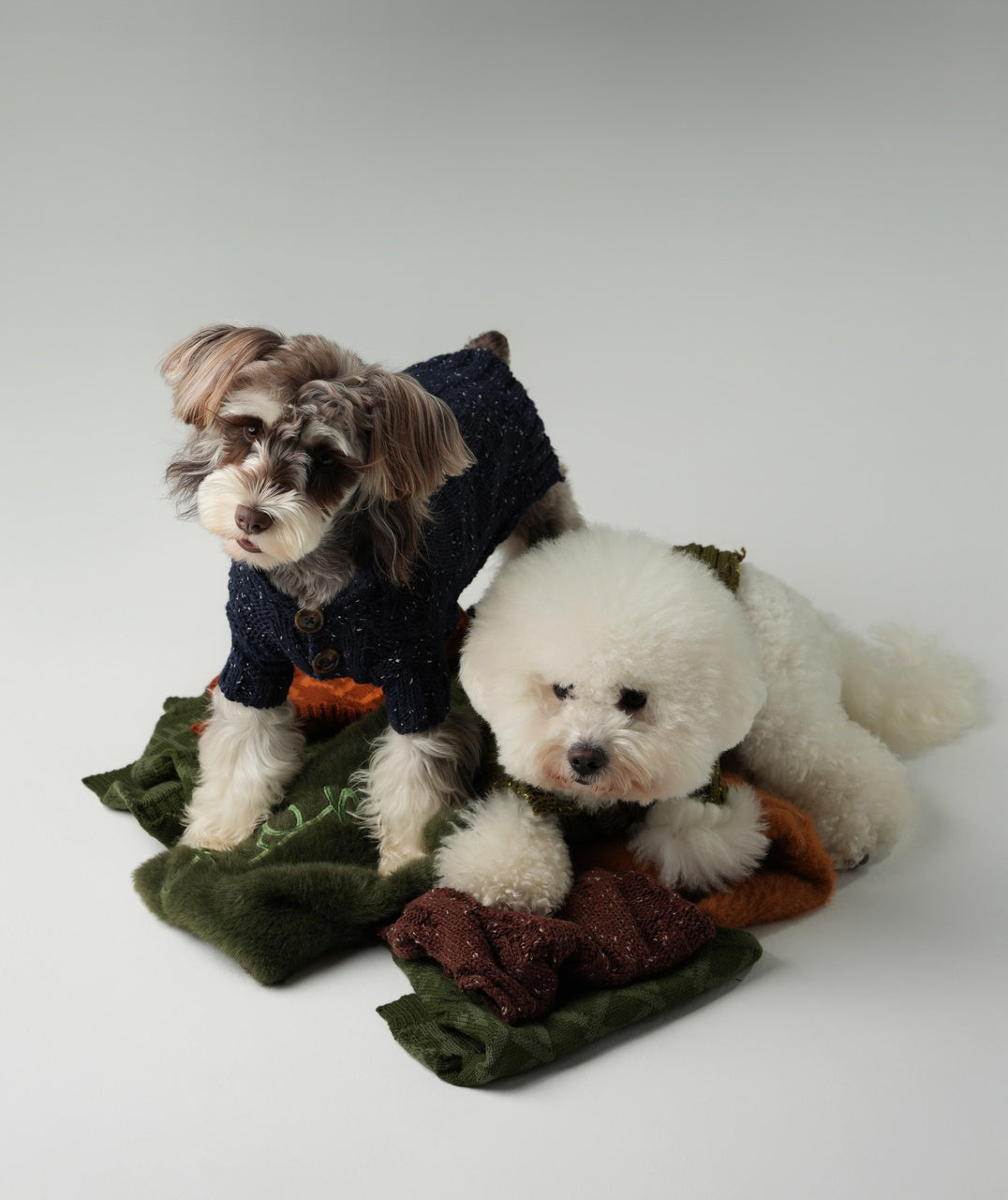 GLACIER Pet Sweater – Navy | Warm High-Neck Knit Dog Sweater with Vintage Buttons