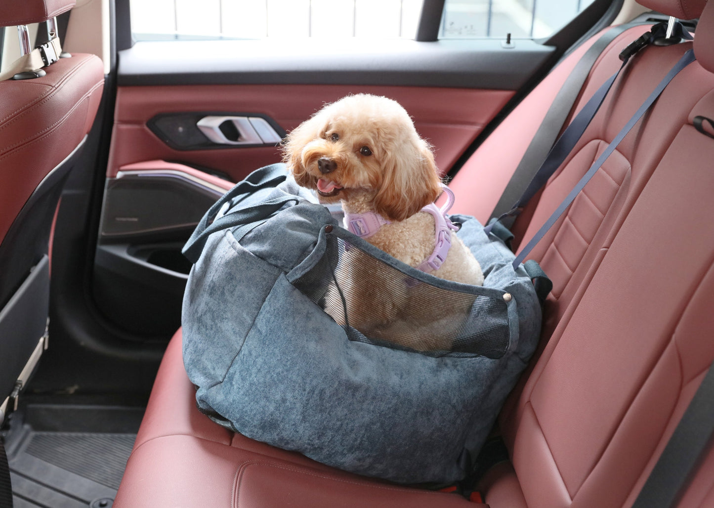 Puff Guard Dog Car Seat – Blue | Water-Repellent Travel Booster Seat for Small & Medium Dogs