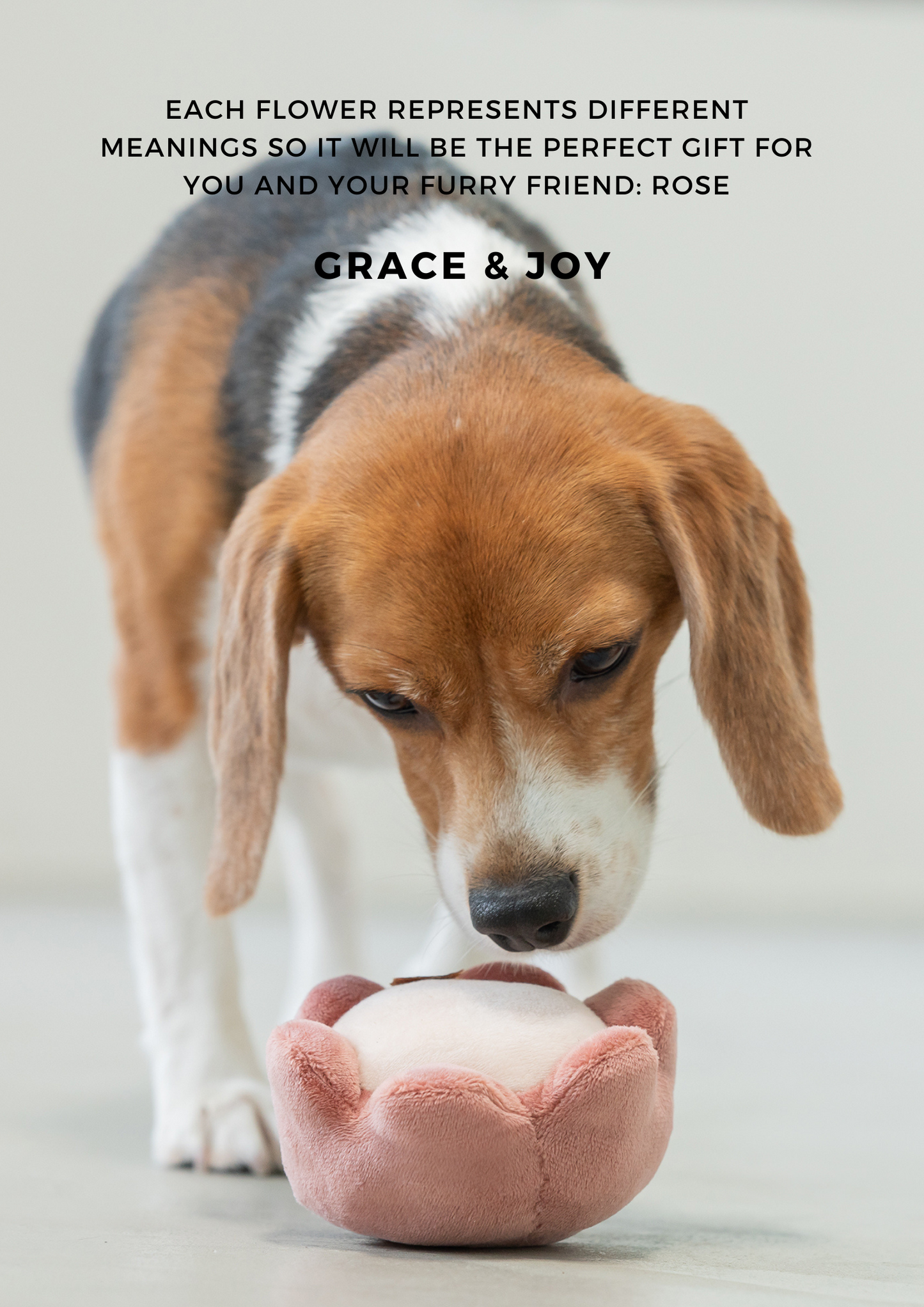 Paradise Pet Toy – Rose | Calming Plush Enrichment Toy with Treat Pocket & Squeaker