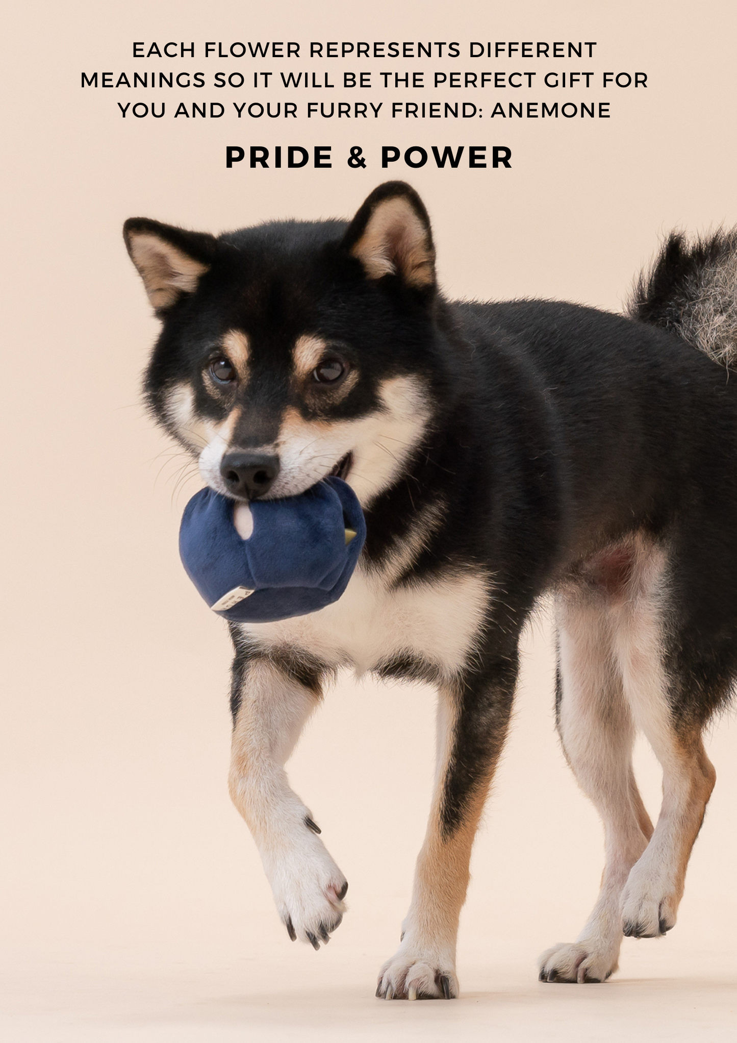 Paradise Pet Toy - Anemone | Calming Plush Enrichment Toy with Squeaker & Treat Pocket