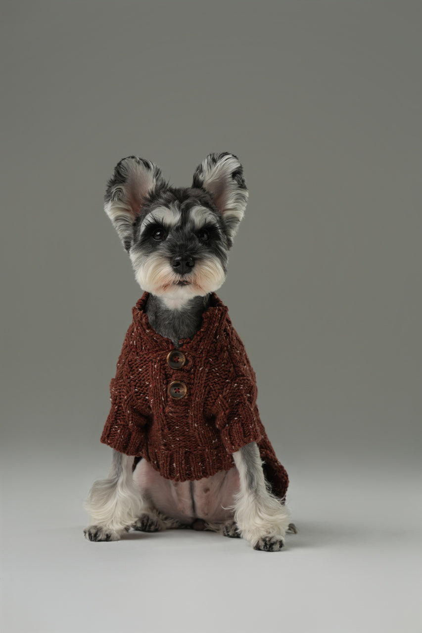 GLACIER Pet Sweater – Burgundy | Warm High-Neck Knit Dog Sweater with Vintage Buttons